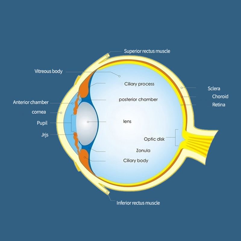 Męska Technologia Anti-motion Choroby Anti-seasickness Bezsoczewkowe Przenośne Składane Okulary Gogle